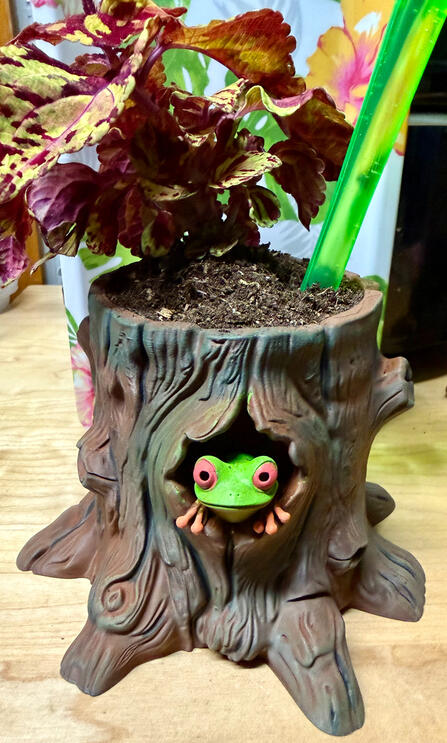 Frog in a Log Planter