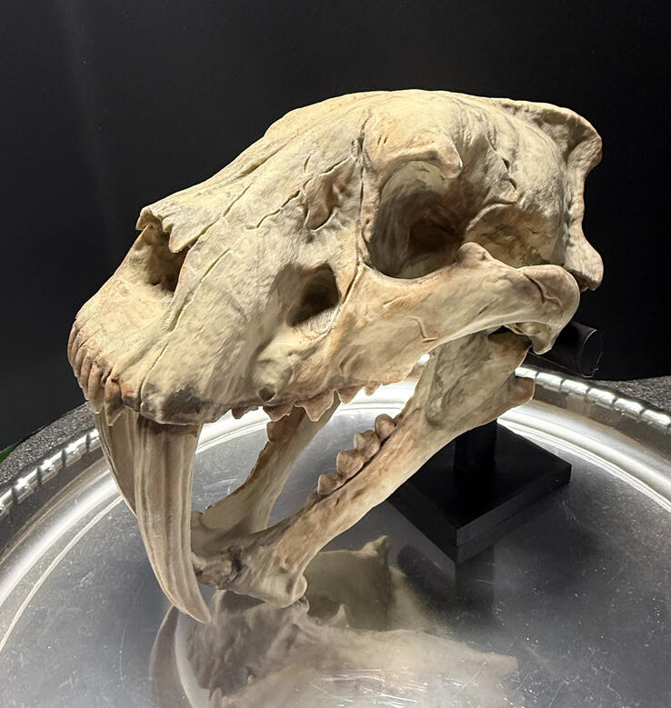 3/4 Left View