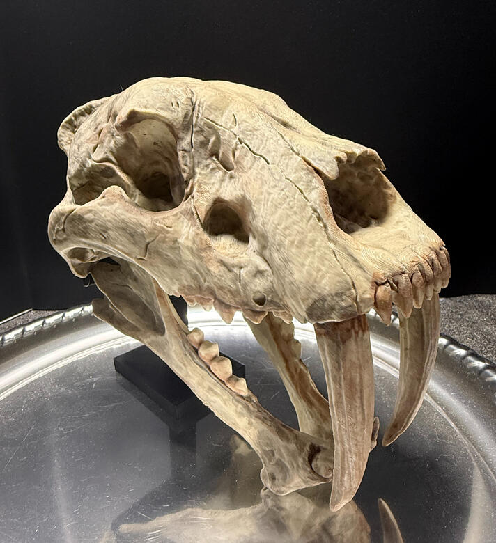 3/4 right view