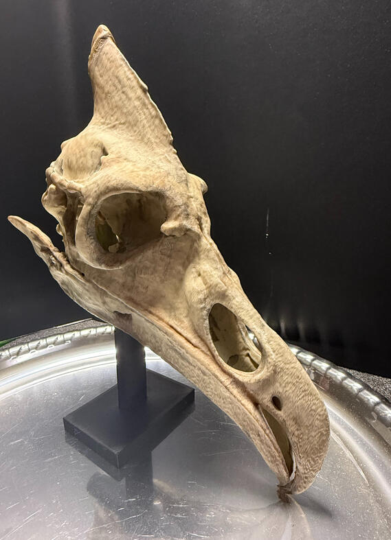 3/4 Right View